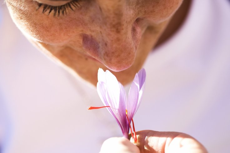 Fading sense of smell may suggest early death