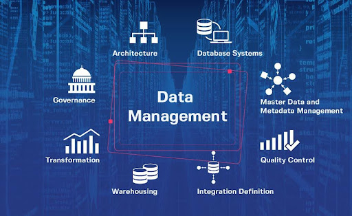 Data Management 