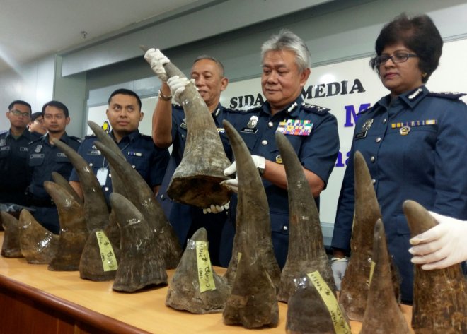 Malaysia seizes big shipment of rhino horns at airport