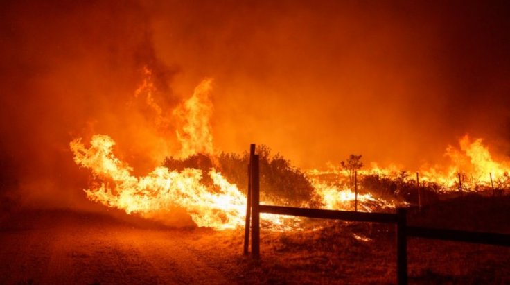 Pacific Palisades Wildfire