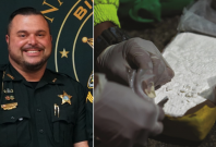 James Hickox James Hickox