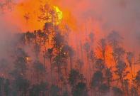 New Jersey wildfire New Jersey wildfire