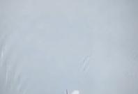 Air India Crash Air India Crash