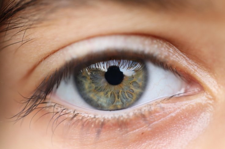Eye Eye