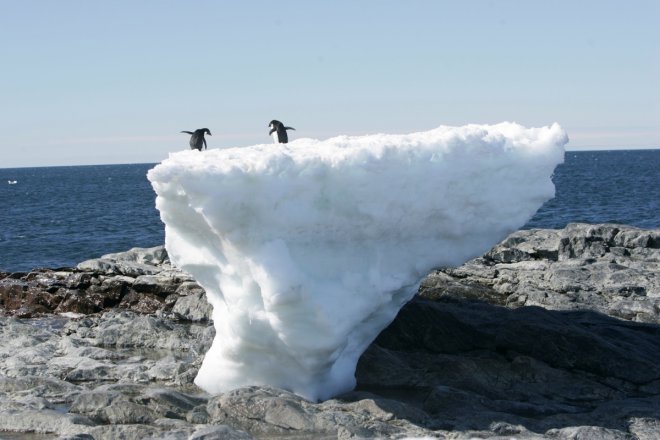 Antarctica's fragile ice