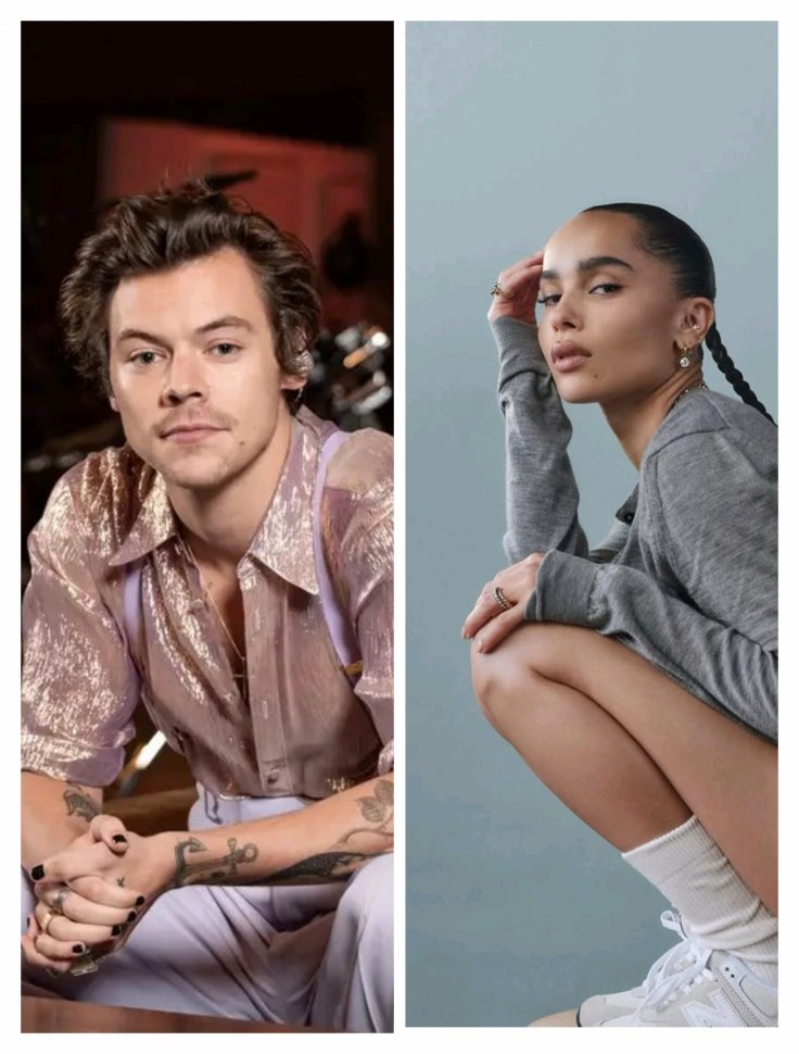 Harry Styles and Zoe Kravitz 