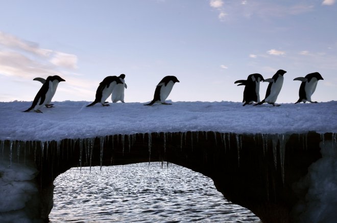 Antarctica's fragile ice