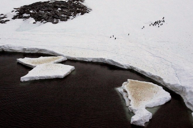 Antarctica's fragile ice