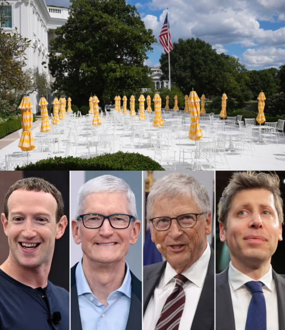 Top tech ceos at White House dinner