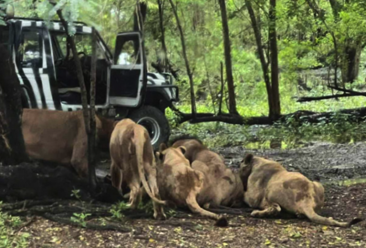 Safari World Bangkok