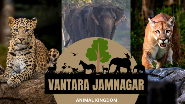 India’s Vantara cleared of allegations by court SIT 