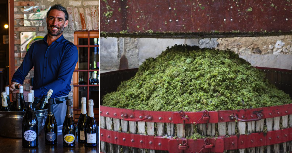 Italian Winemaker Crushed to Death After Machine Turns Back on Following Power Outage