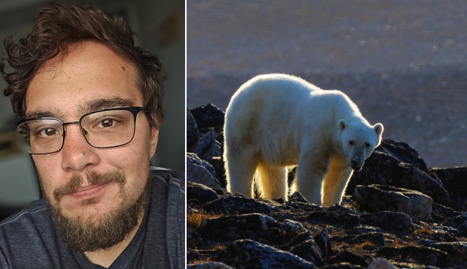 Canadian Radar Technician Killed by Polar Bears After He Stepped Out to Photograph Them at Remote Arctic Station Despite Warnings