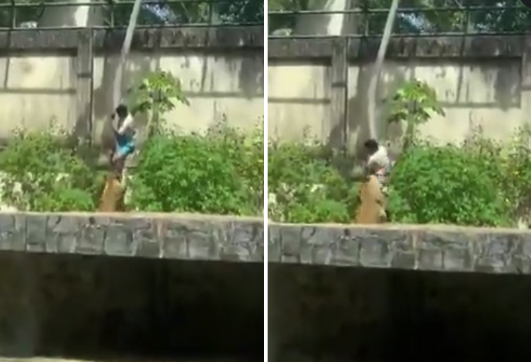 Man Mauled to Death by Lioness After He Jumped into the Animal's Enclosure at Brazilian Zoo [VIDEO]