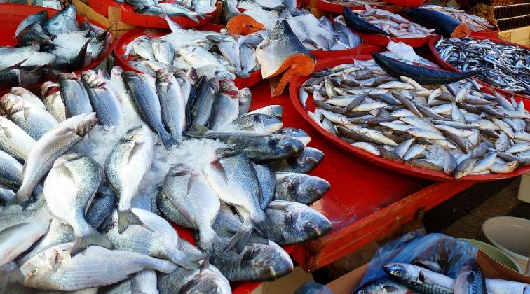 Vietnam Emerges as Singapore's Third-Largest Seafood Supplier Amid Surge in Exports