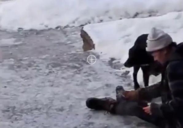 Renee Nicole Good: Touching Video Shows Blood-Covered Woman Claiming to be Wife of Minneapolis Woman Shot Dead by ICE Agent Crying, 'It's My Fault'