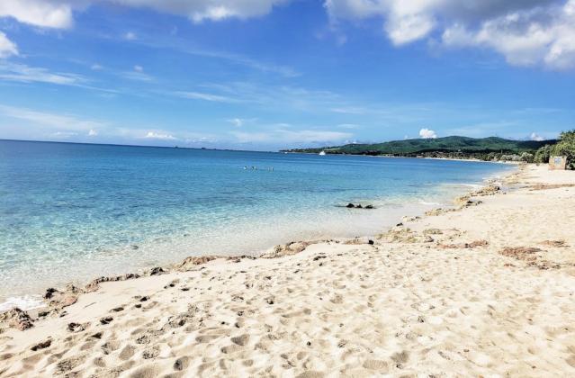 Minnesota Woman Dies After Shark Bites Off Arm While Snorkelling in St. Croix