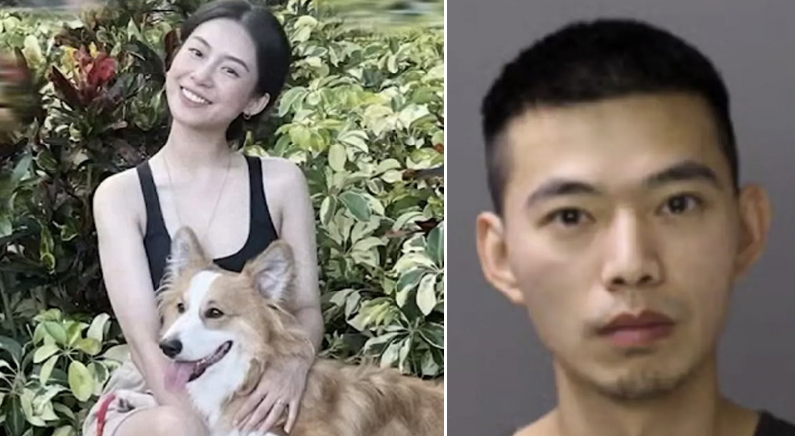 Yuan Yuan Lu and Yujun Ren