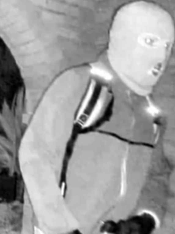 Nancy Guthrie kidnapper