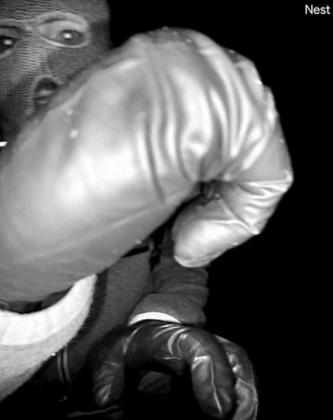 Man Detained in Connection to Nancy Guthrie Abduction Was Caught in Traffic Stop Near Mexico Border as Cops Raid Home