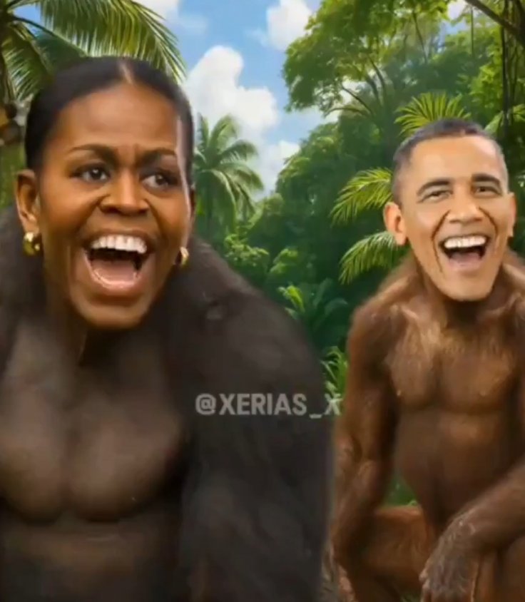 Obama ape