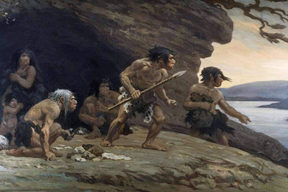  Neanderthals