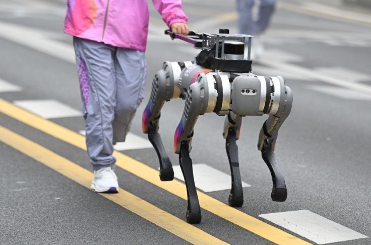 Talking Robot Guide Dog Could Replace Human Companions More S talking-robot-guide-dog-could-replace-human-companions-more-s