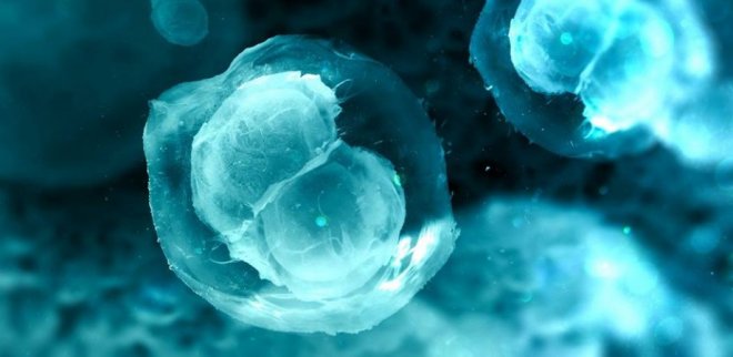 3D-printed ovaries may help infertile women give birth to healthy babies 3D-printed ovaries may help infertile women give birth to healthy babies