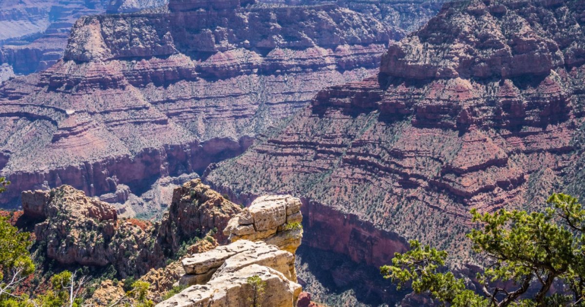 Grand Canyon Study Reveals How Colorado River Carved Canyon Over ...