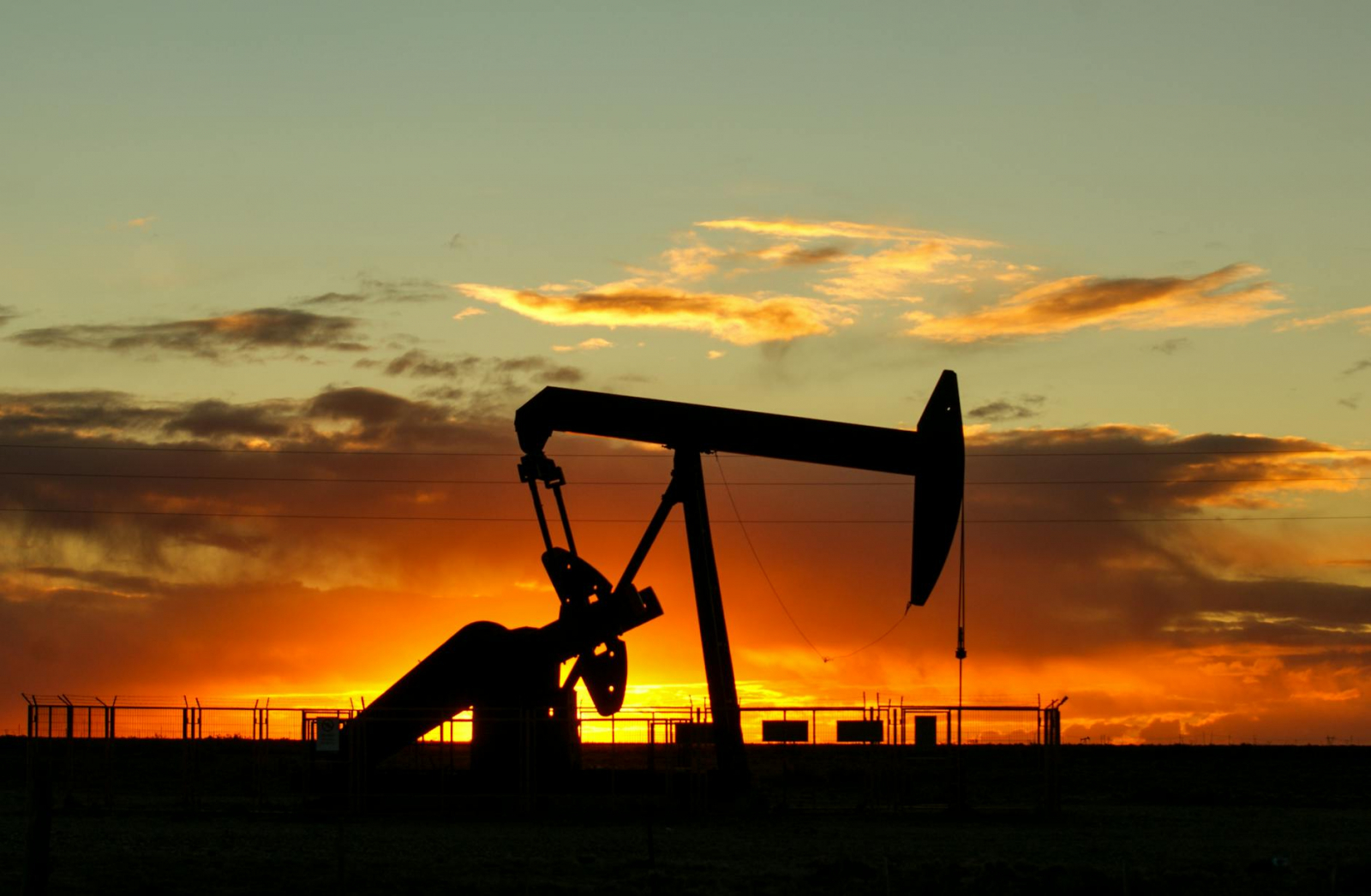 Oil.