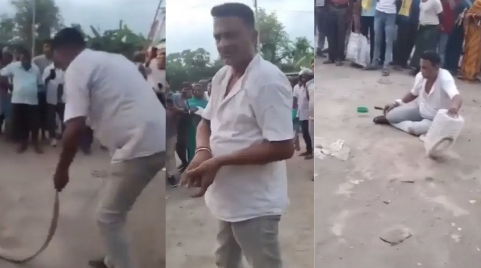 Snake rescuer death