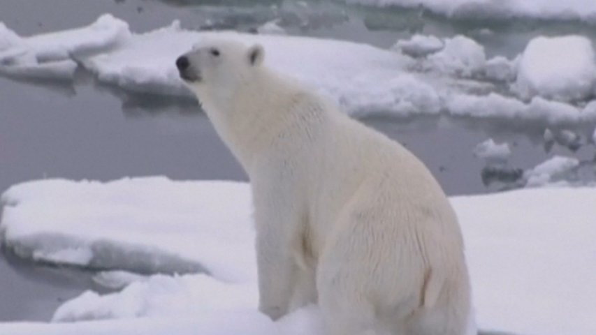 Donald Trump pulls US out of Paris climate agreement