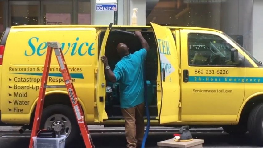 Bees cause traffic chaos after descending on van in New York