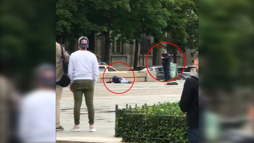 Man attacks police officer with a hammer in Paris: This Is For Syria