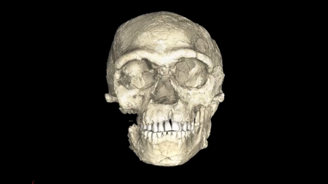 Earliest ever modern humans discovered showing homo sapiens are 100,000 years older than we thought