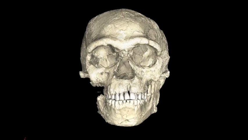 Earliest ever modern humans discovered showing homo sapiens are 100,000 years older than we thought
