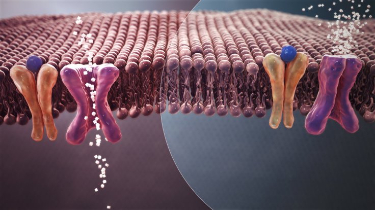 Mechanism of normal Blood Sugar (white crystals) absorption (Left) Vs. insulin resistance in Type 2 Diabetes (Right).