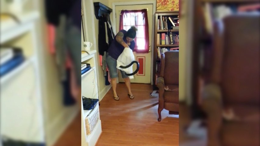 Terrifying moment woman catches six-foot snake with pillow case