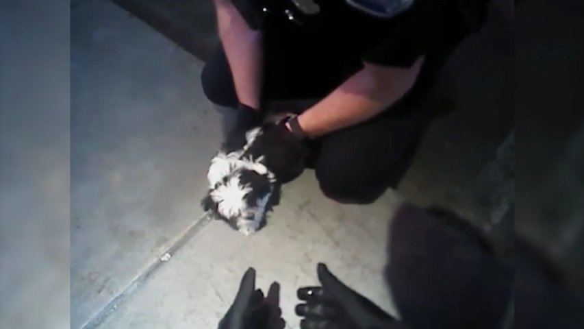 Heroic police officers rescue puppy choking on cheese