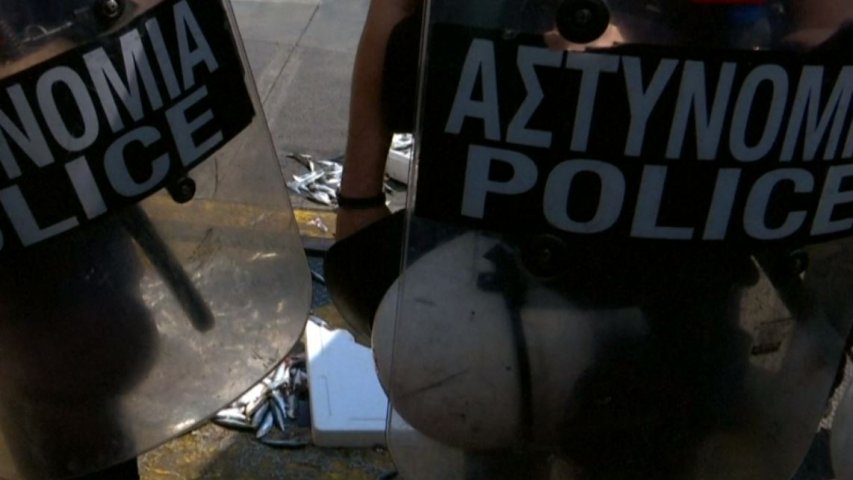 Protesters dump raw sardines outside Greek parliament in protest against fishy austerity measures