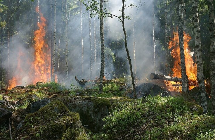 Bug Fire Explodes Past 6,500 Acres as Evacuations Ordered in N...