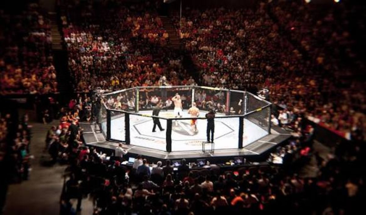Image accompanying ibtimes.sg coverage of Gable Steveson ahead of UFC 331.