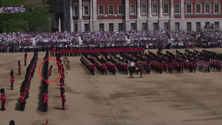 Guardsman collapses during Queens birthday celebrations