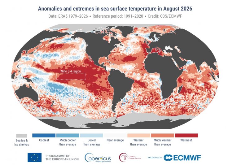 sea surface temperature for August 2026