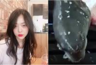 Sulli criticized again for posting video of live eel being grilled