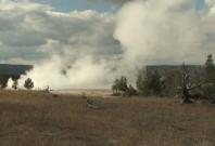 Yellowstone supervolcano hit by hundreds of earthquakes Yellowstone supervolcano hit by hundreds of earthquakes