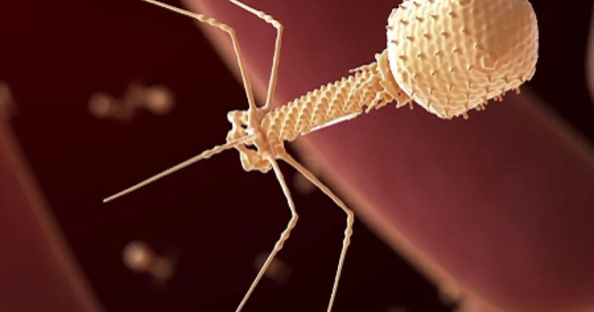 Photo : ibtimes.sg Radical Numerics a inoculé un virus conçu par IA à un patient humain