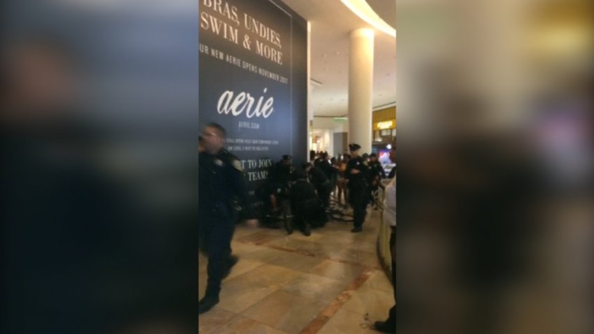 Police officer injured after huge brawl forces San Francisco shopping mall to close