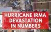 hurricane-irma-devastation-in-numbers