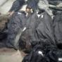 Indonesia accident Indonesia accident